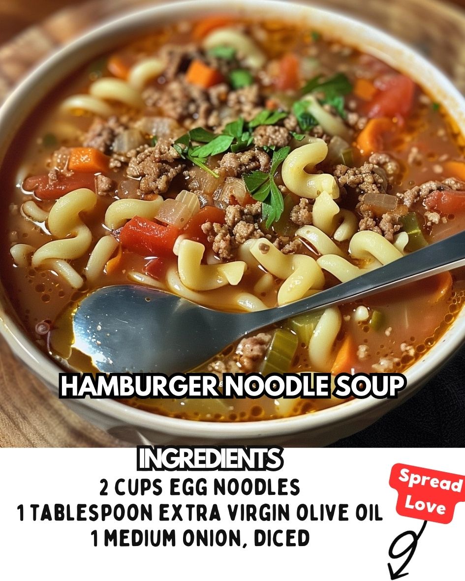 Hamburger Noodle Soup